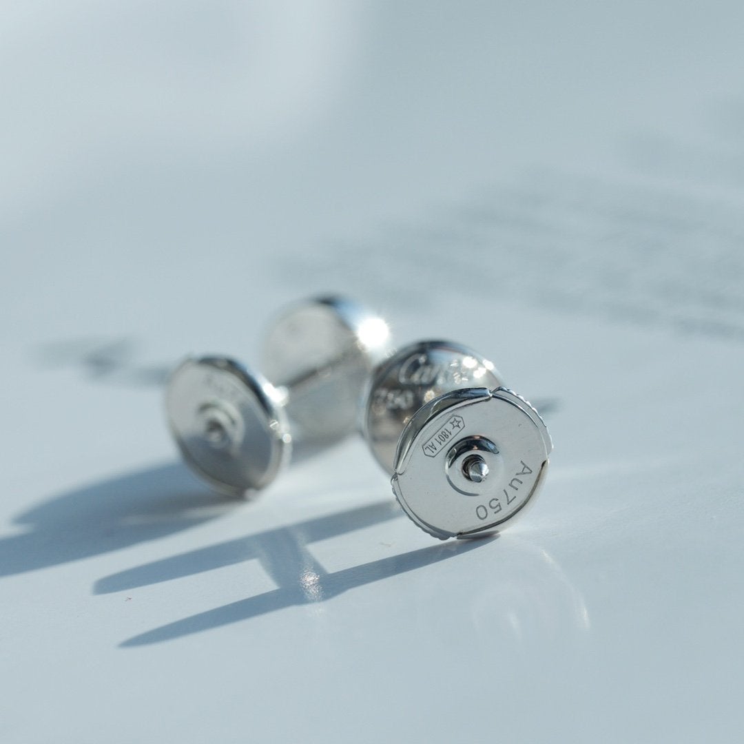 DIANA LOVE EARRINGS SILVER 10MM