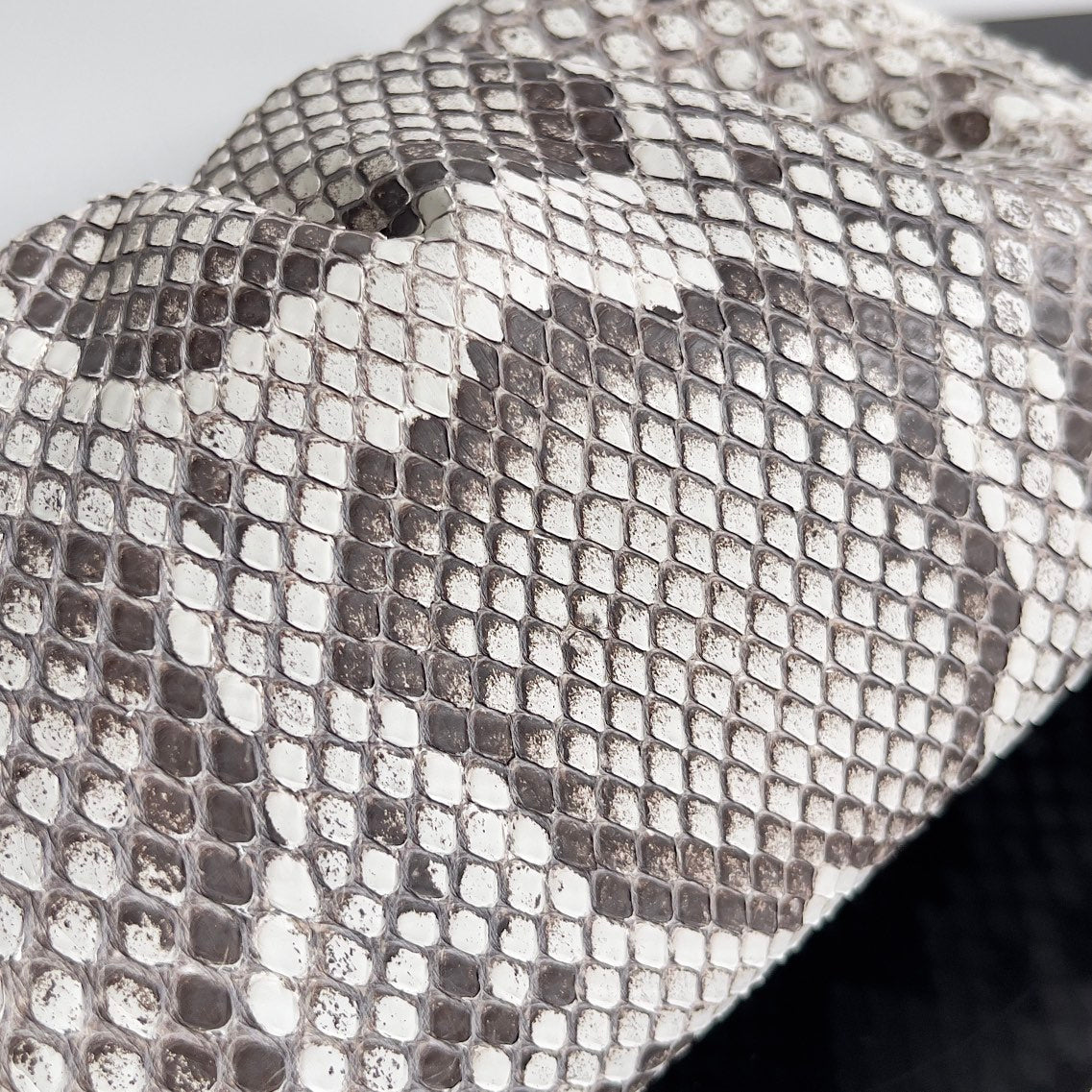 BV Mini Pouch Bag 22cm Leather-Trimmed Python Clutch 209316