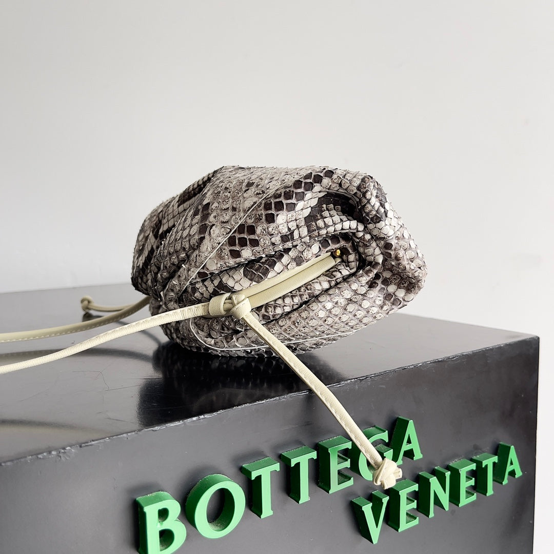 BV Mini Pouch Bag 22cm Leather-Trimmed Python Clutch 209316