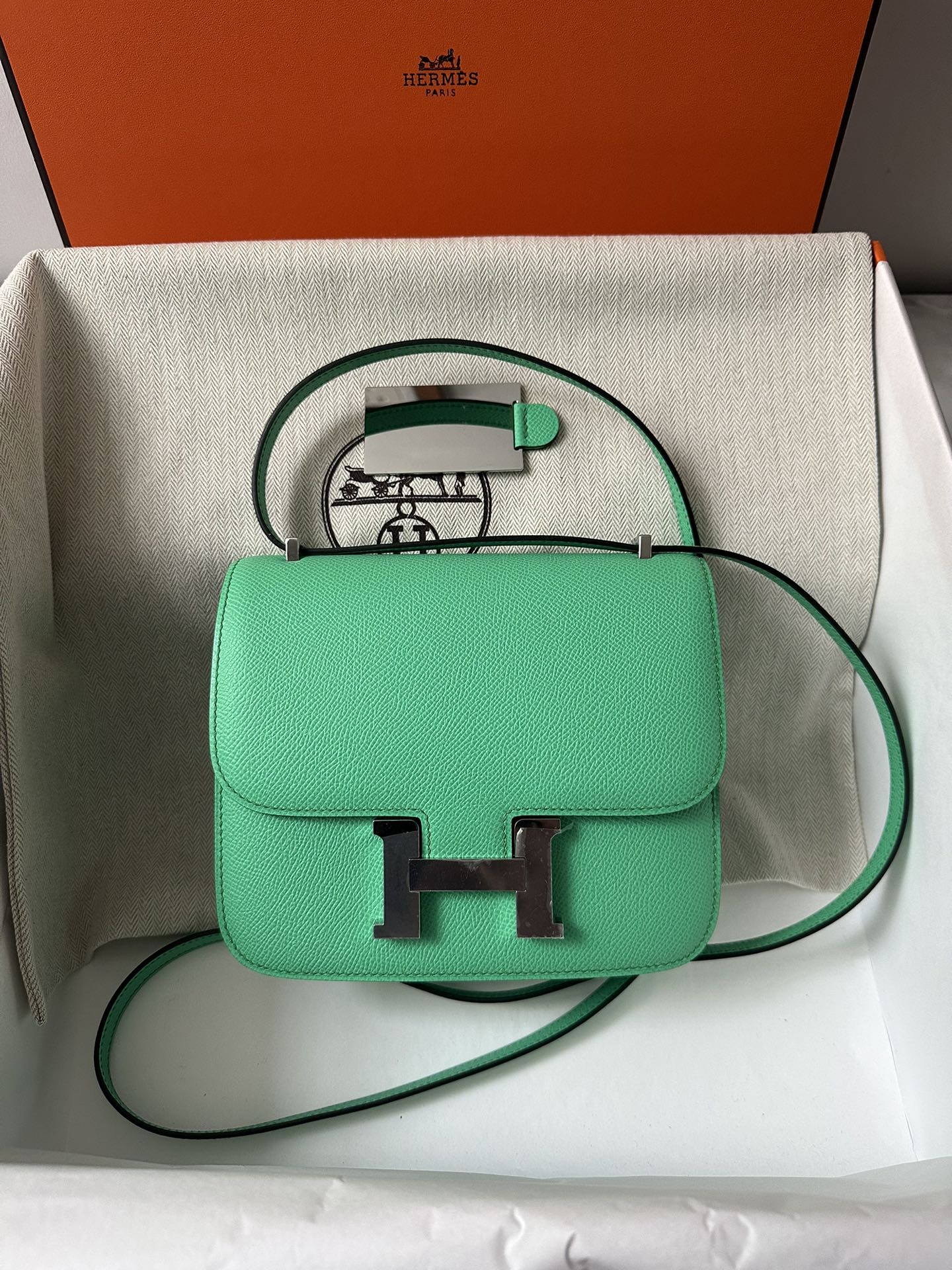CONSTANCE 18 MINT EPSOM SILVER HARDWARE